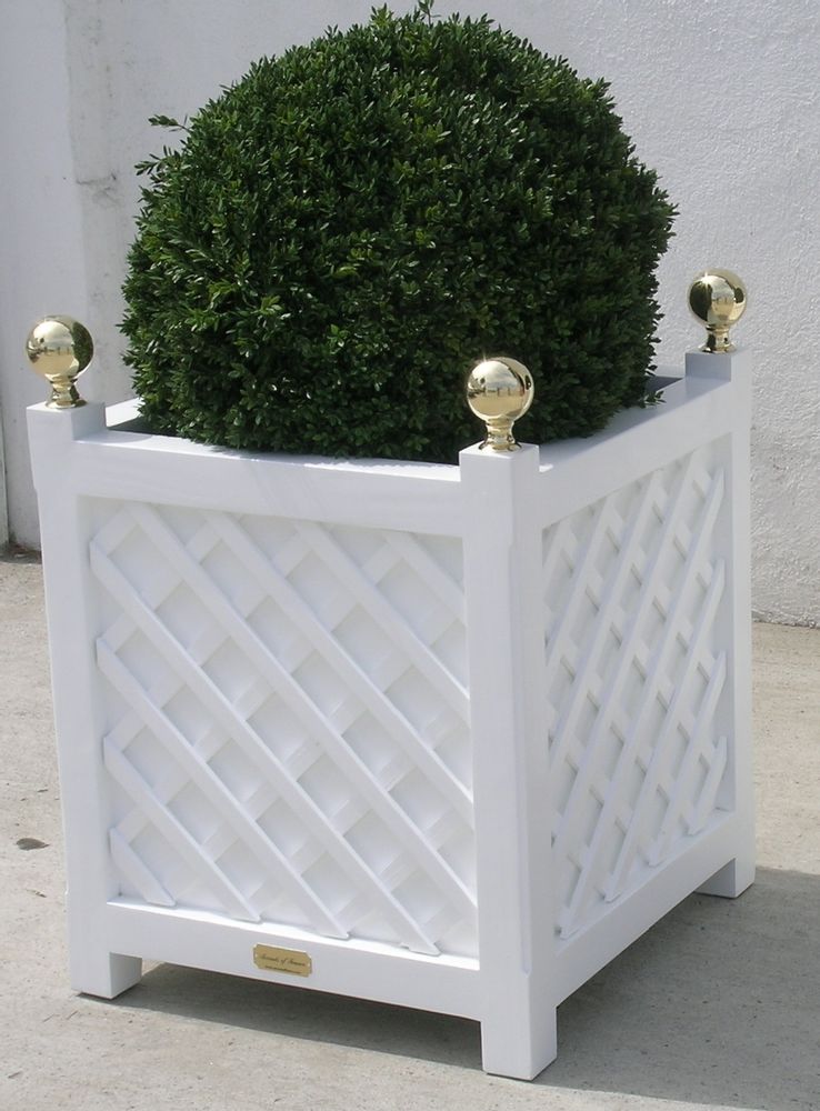 Decorative objects - Planters - TRICOTEL - ACCENTS OF FRANCE