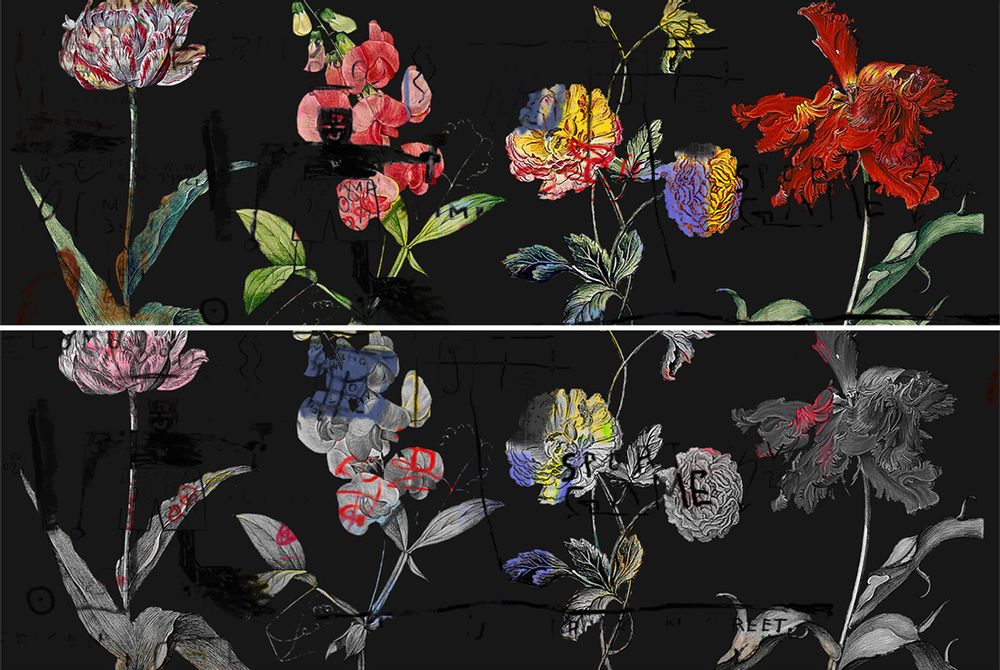 Chambres d'hôtels - Chiaroscuro on Steroids - In Living Colour Black & Junior Mint - KERRIE BROWN