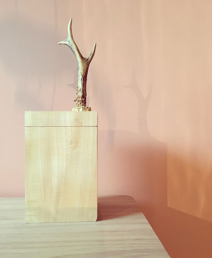 Decorative objects - "Snail" - RENARD BIJOUX