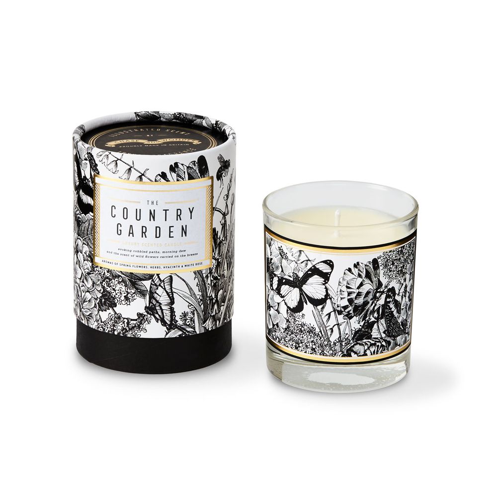 Candles - Illustrated Scent Luxury Candles - CHASE AND WONDER