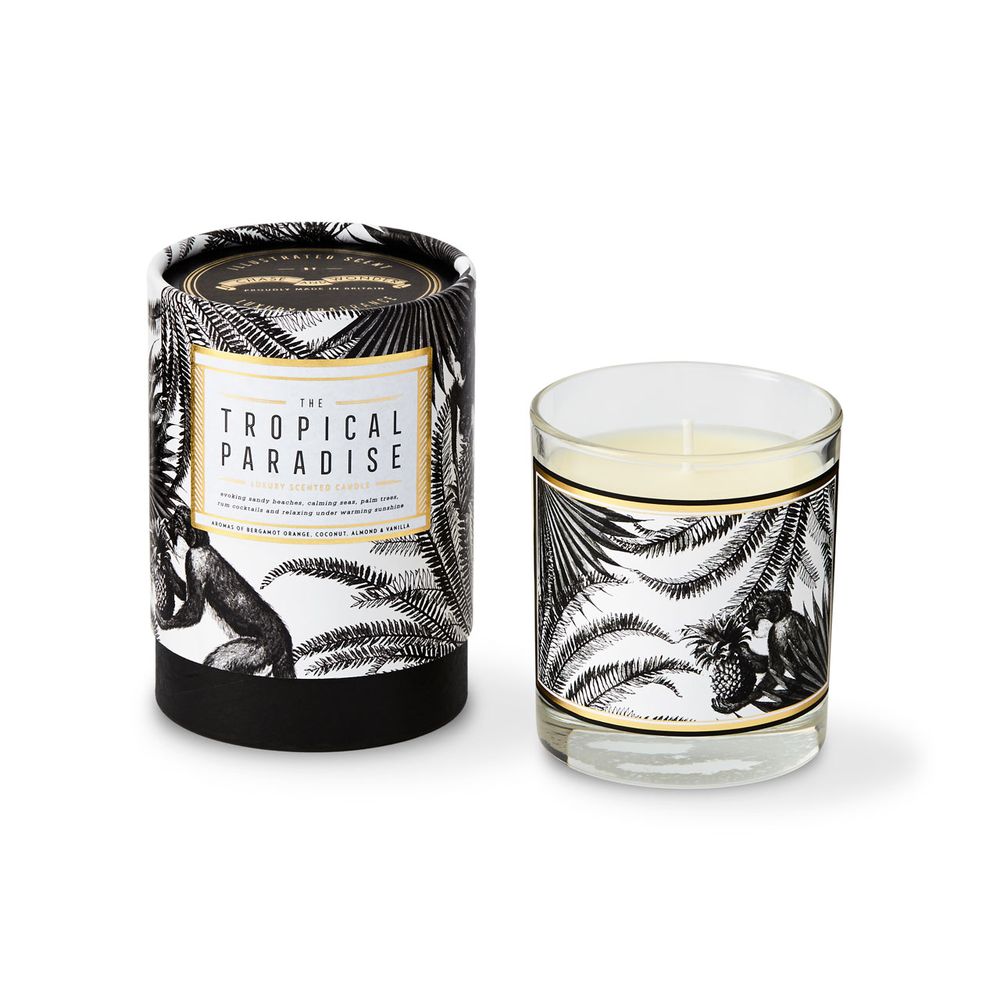Candles - Illustrated Scent Luxury Candles - CHASE AND WONDER