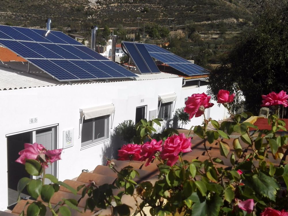 Delicatessen - Bio Slow precious Jams & marmalades - LORUSSO