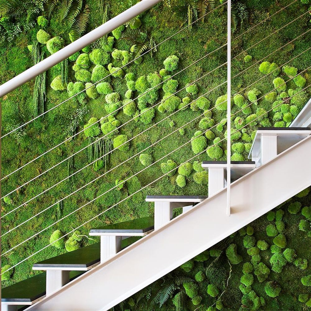 Autres décorations murales - Mur Végétal stabilisé "Nature" - DECO VEGETALE