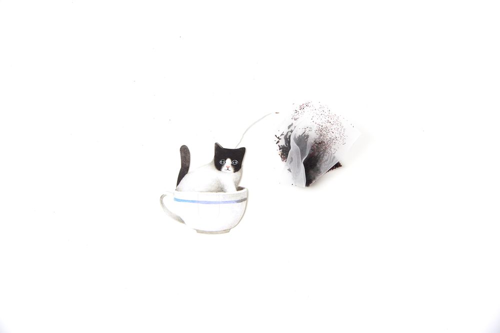 Café et thé - gongdreen chat tag Hibiscus thé noir - GONGDREEN