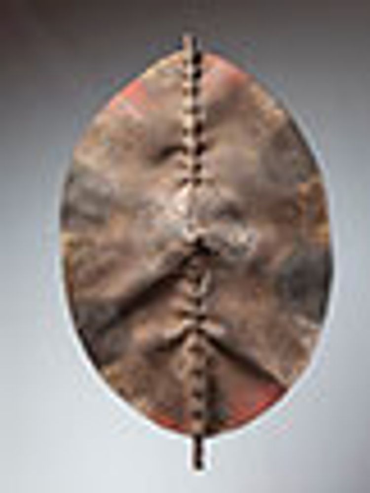 Sculptures, statuettes and miniatures - African Shields - KANEM