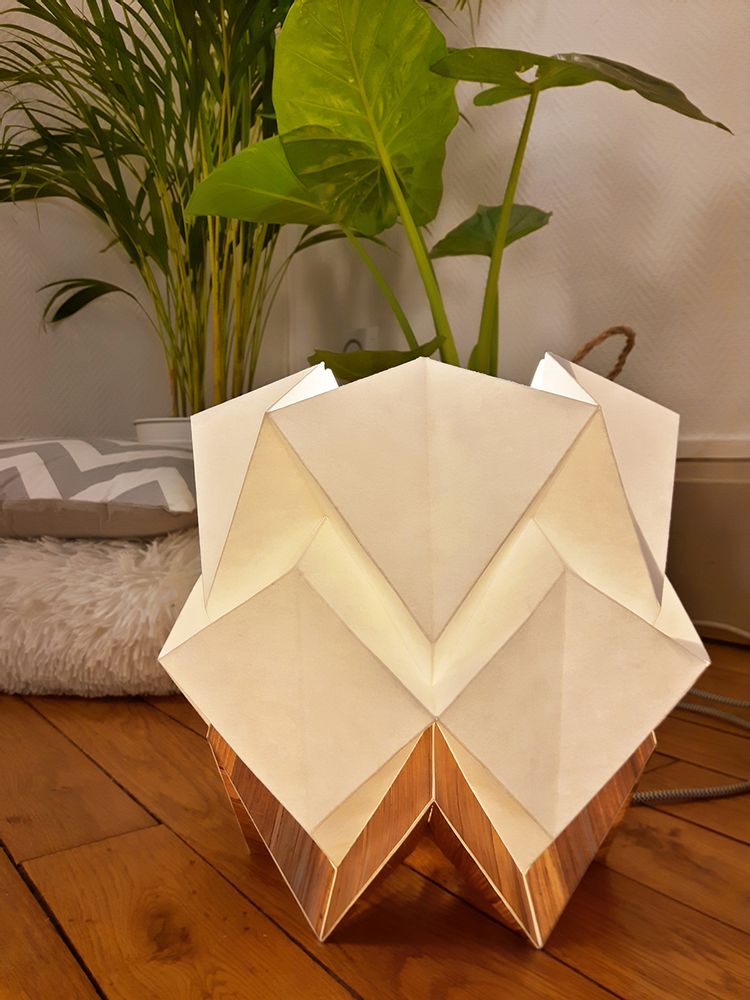 Objets de décoration - Lampe de table HIKARI ECO WOOD ou BICOLEUR - TEDZUKURI ATELIER