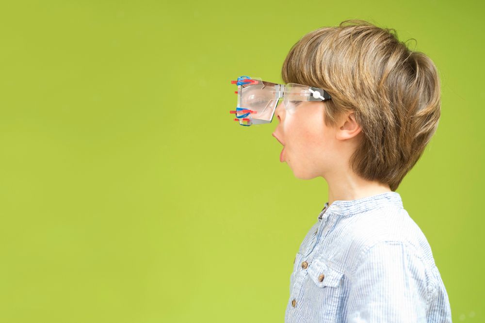 Loisirs créatifs pour enfant - Lunettes qui simulent la vision animale - KOAKOA