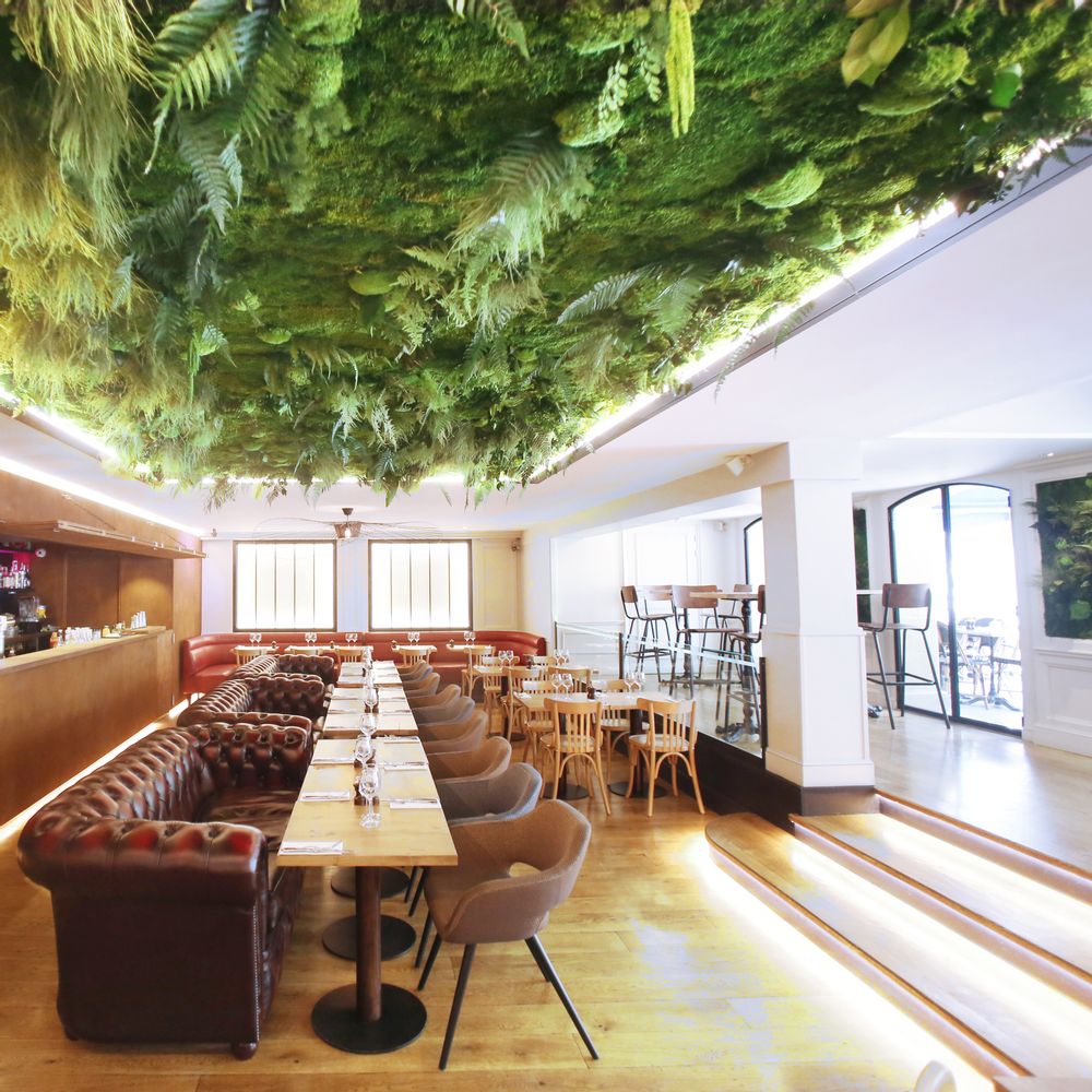 Autres décorations murales - Mur Végétal stabilisé "Nature" - DECO VEGETALE