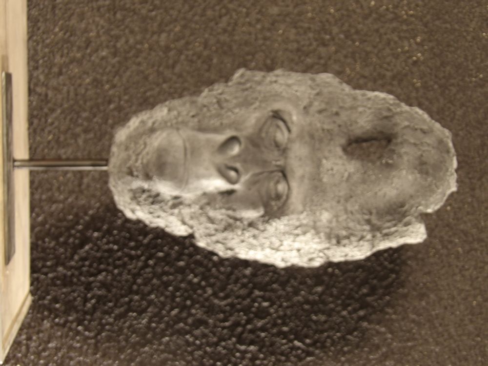 Sculptures, statuettes et miniatures - masque gorille - CHARTIER SEBASTIEN
