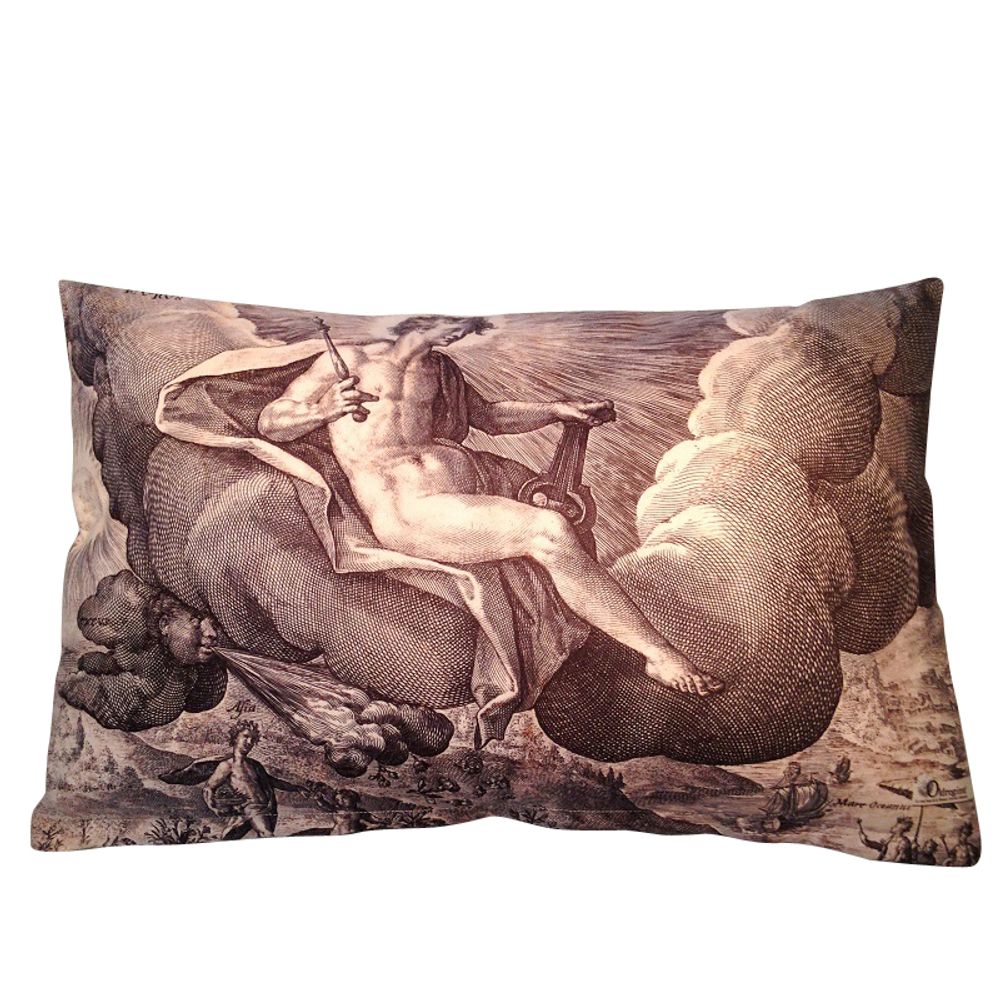 Coussins textile - Coussins Rectangulaires en Microfibre Velours. - OLDREGIME