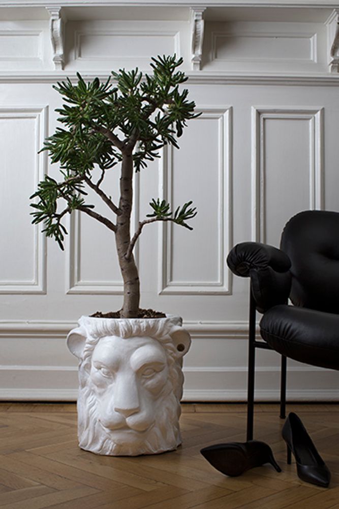 Garden accessories - Lion and Monkey Face pot - GARDEN GLORY