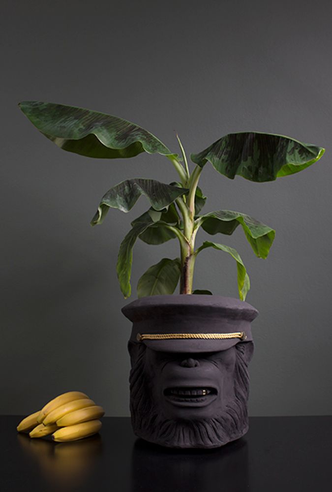 Garden accessories - Lion and Monkey Face pot - GARDEN GLORY
