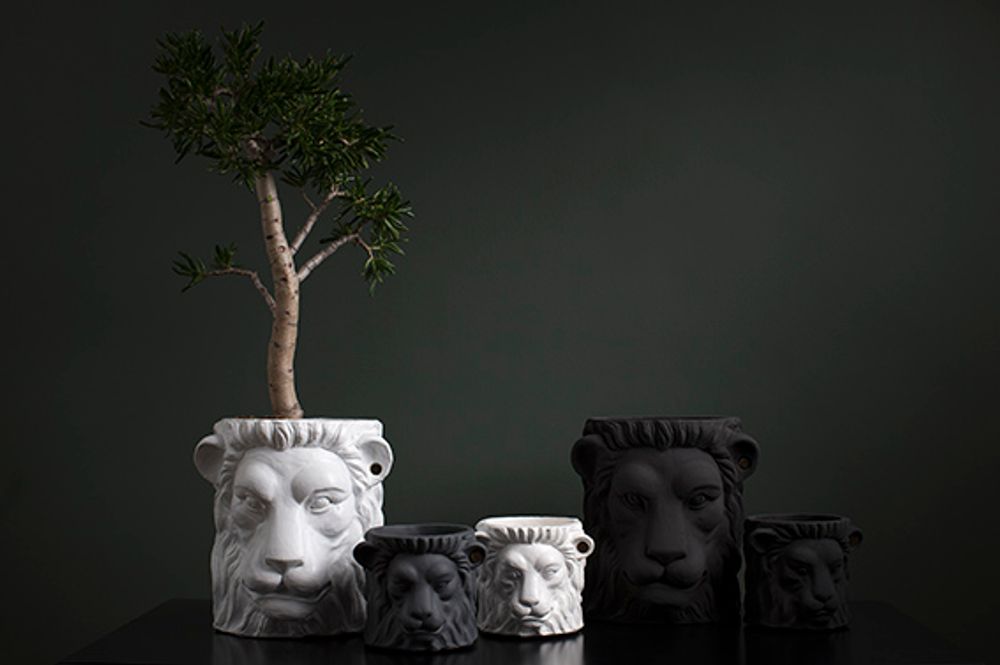 Garden accessories - Lion and Monkey Face pot - GARDEN GLORY