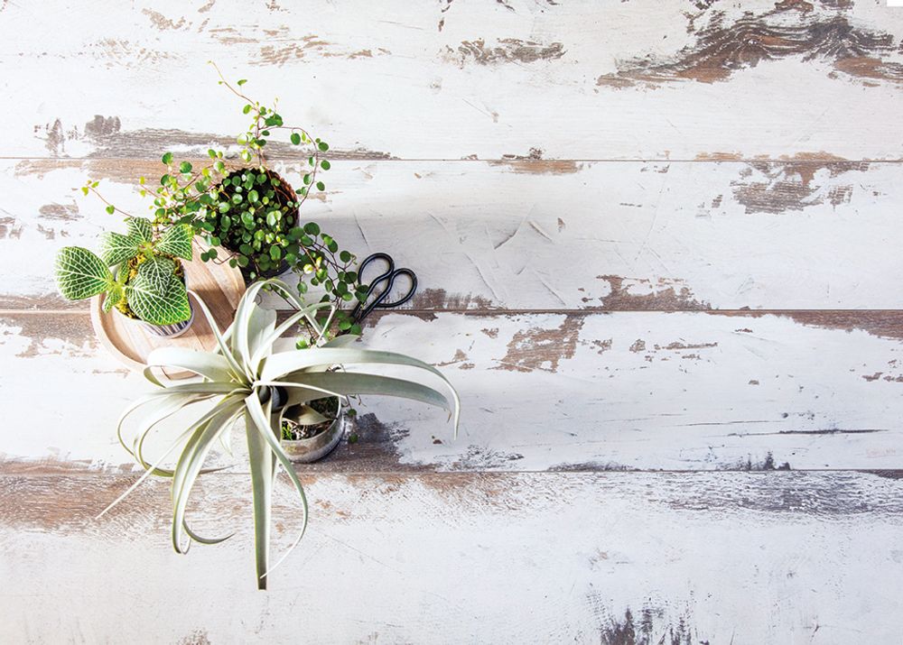 Parquets - BerryAlloc High pressure laminate  - BERRY ALLOC