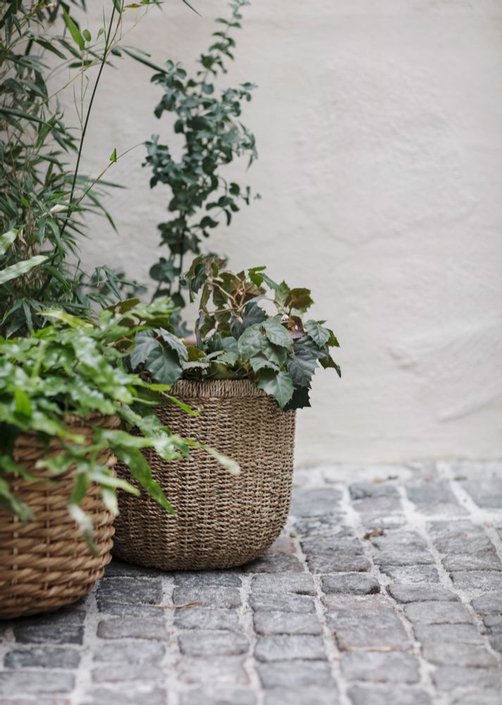 Storage boxes - Waterhyacinth and seagrass baskets - DIXIE