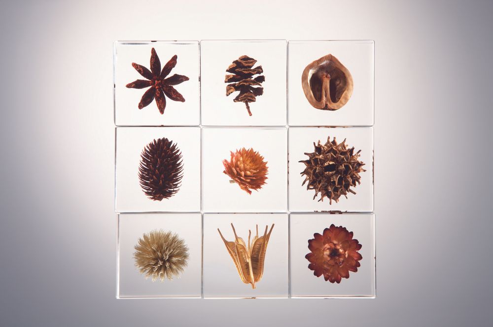 Decorative objects - Sola cube - SOLA CUBE