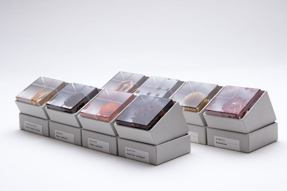 Decorative objects - Sola cube - SOLA CUBE