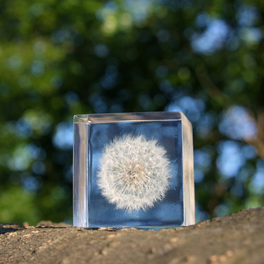 Decorative objects - Sola cube - SOLA CUBE