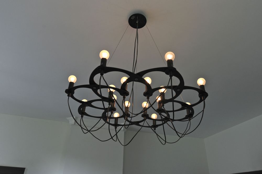 Hanging lights - bloom ornametrica - BLOOM