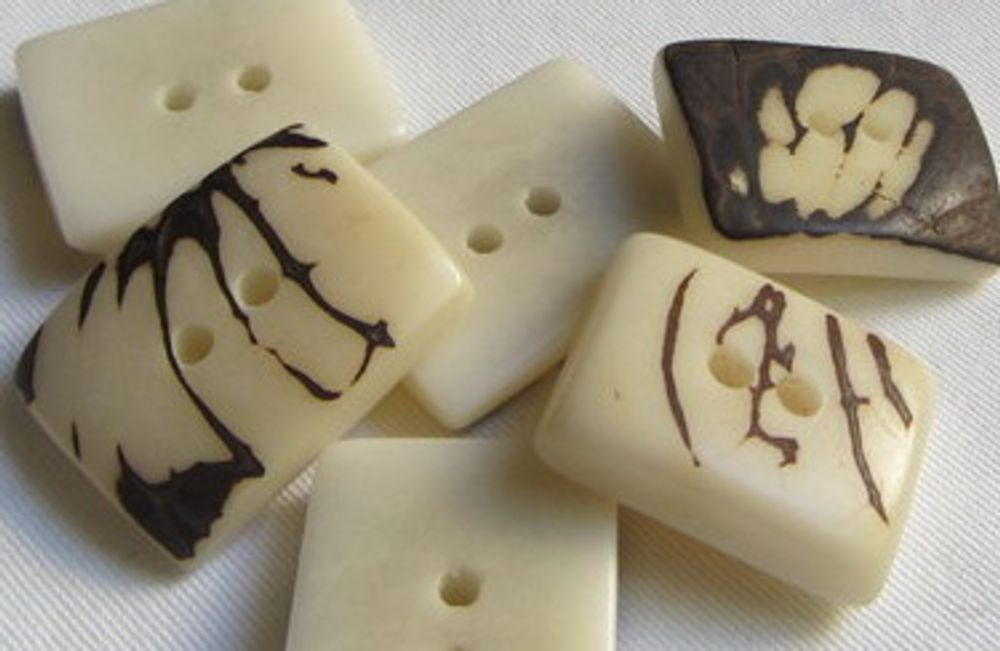 Quincaillerie d'art - Boutons zébrés en ivoire végétal-Tagua - TIERRATAGUA & CREATIERRA