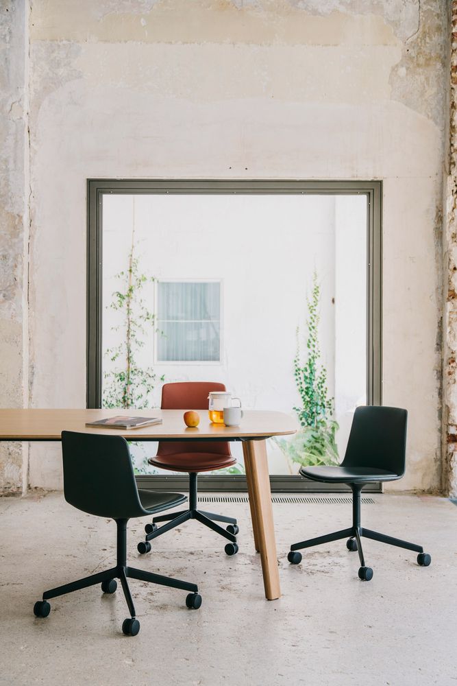 Chairs - LOTTUS CONFIDENT - ENEA