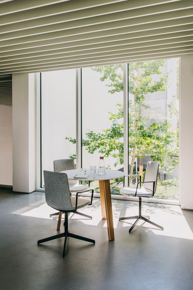 Chairs - LOTTUS CONFIDENT - ENEA