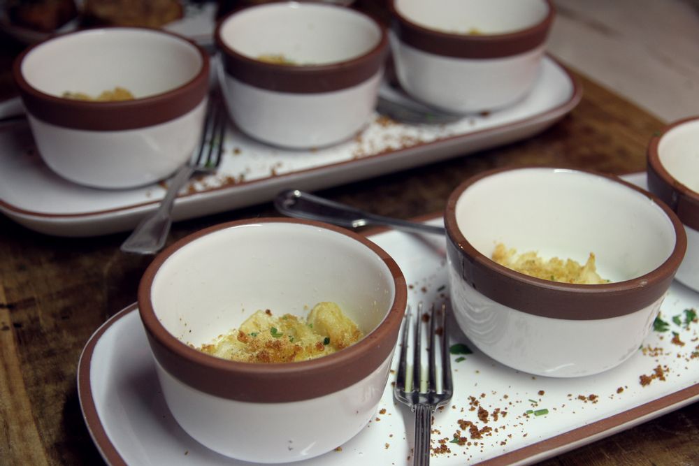 Everyday plates - TERRASTONE Dishes - BARRO.