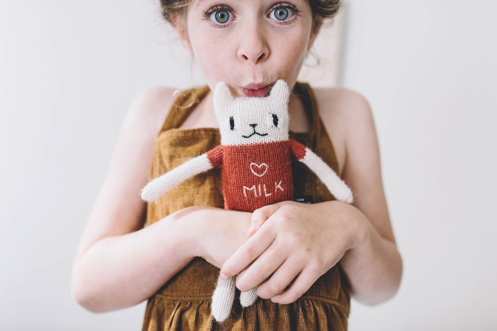 Childcare accessories - Fawns / Cats / Raccoon - MAIN SAUVAGE