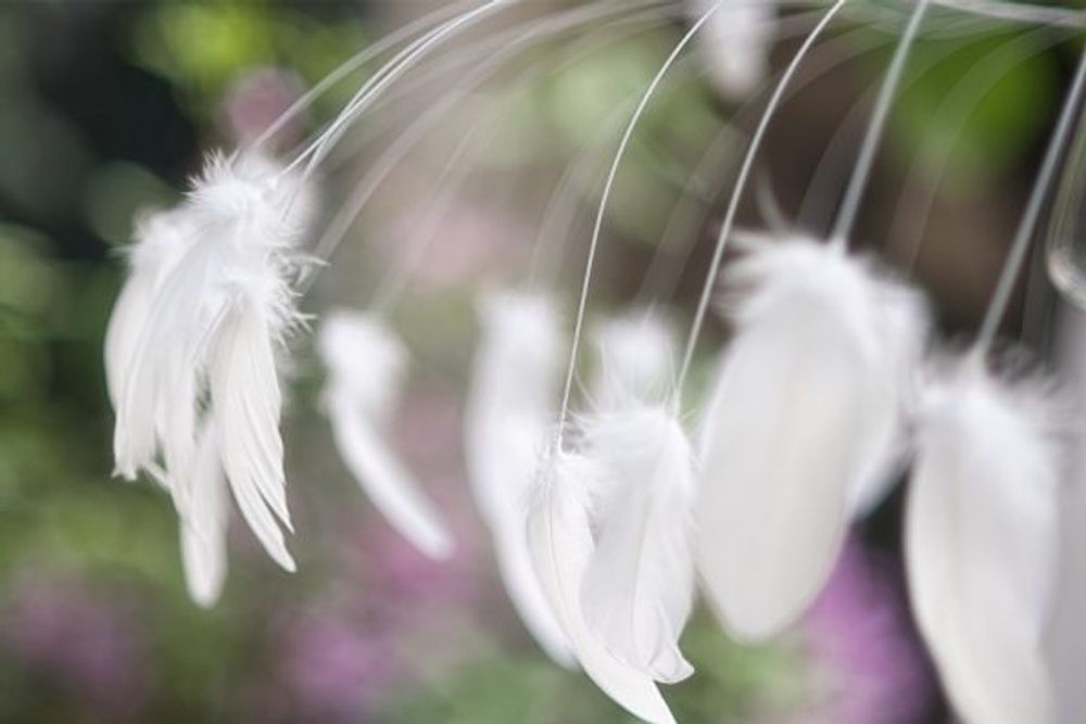 Design objects - Suspension Selene - PLUMAVERA