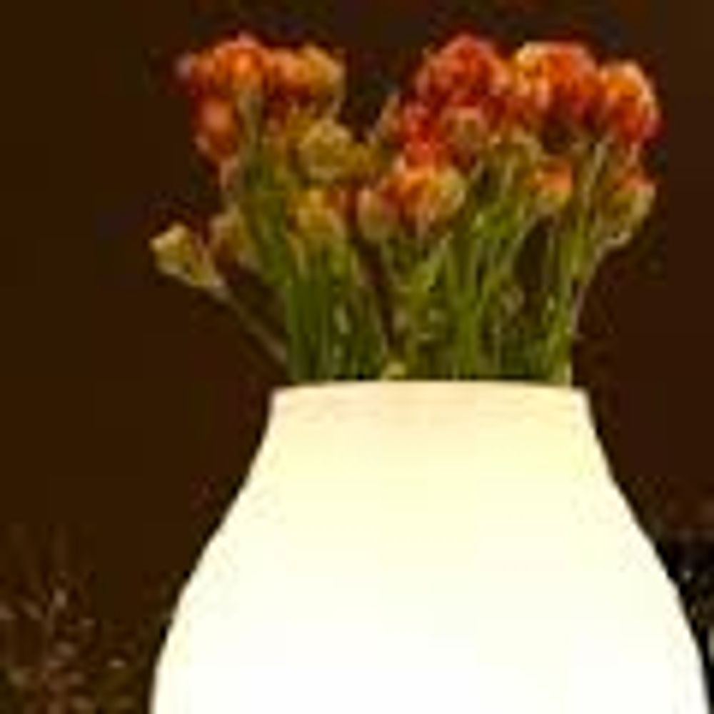 Lampadaires extérieurs - pot d'ampoule - BLOOM