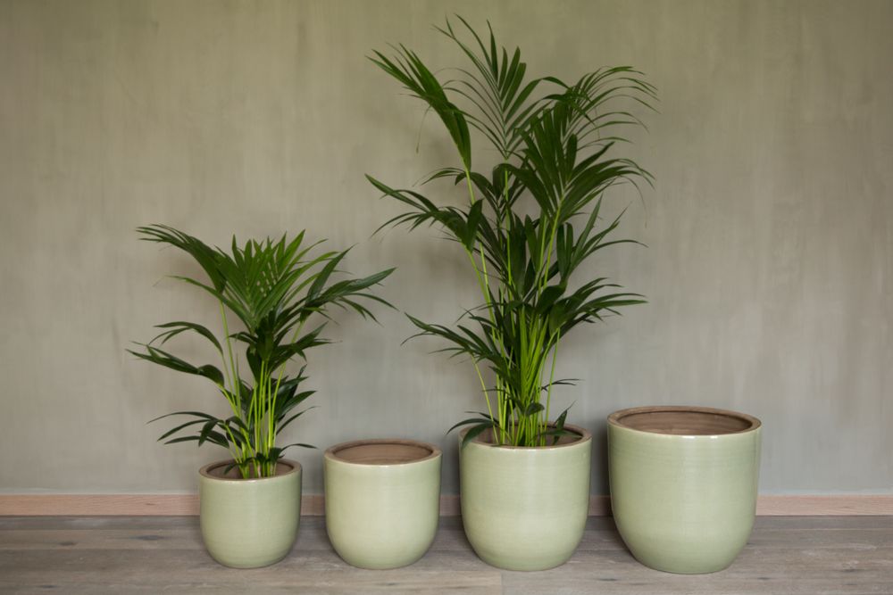 Poterie - Jumbo - QUETZALES