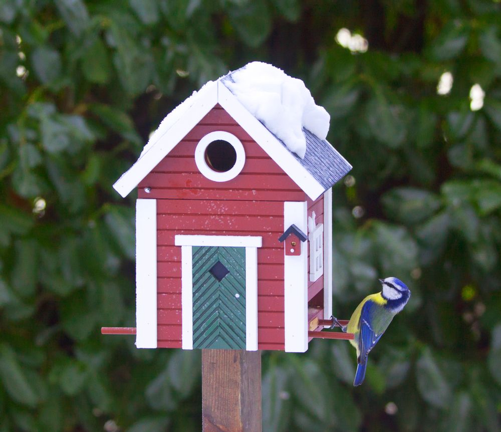 Garden accessories - Multiholk - Red Cottage - WILDLIFE GARDEN