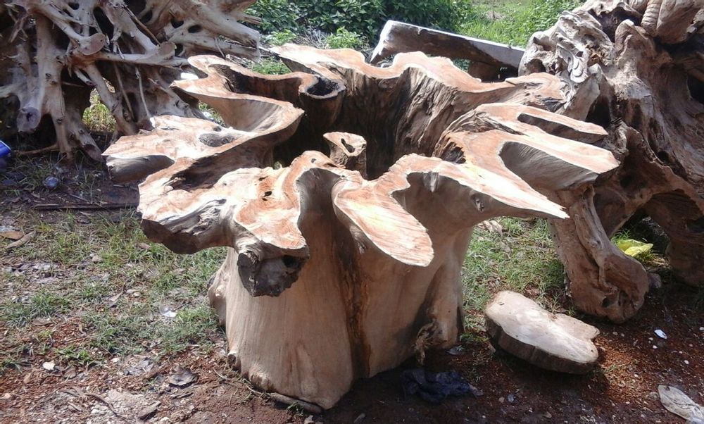 Dining Tables - Massif wood table top - WILD-HERITAGE.COM