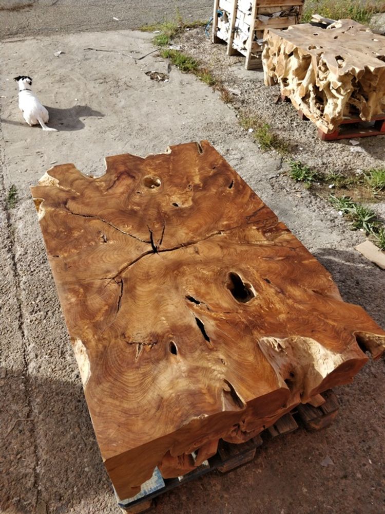 Tables pour hôtels - Table basse en bois et racine. - WILD-HERITAGE.COM