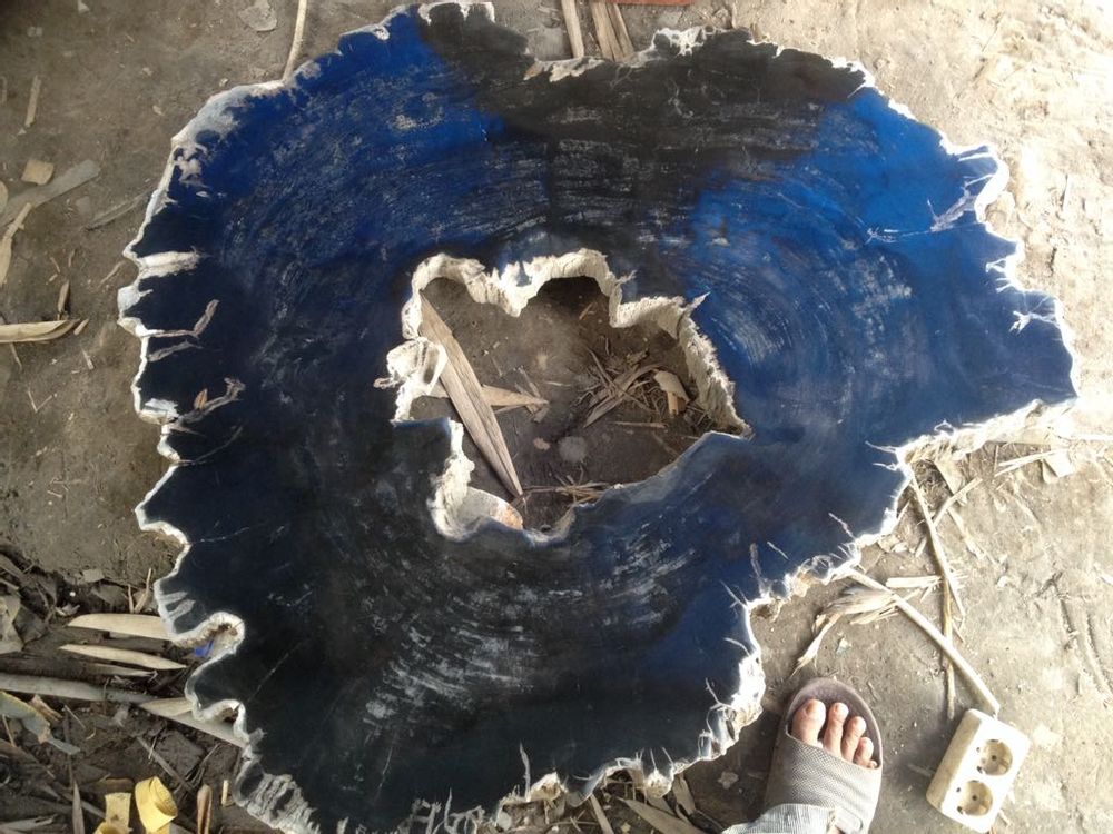 Tables for hotels - Petrified wood coffee table - WILD-HERITAGE.COM