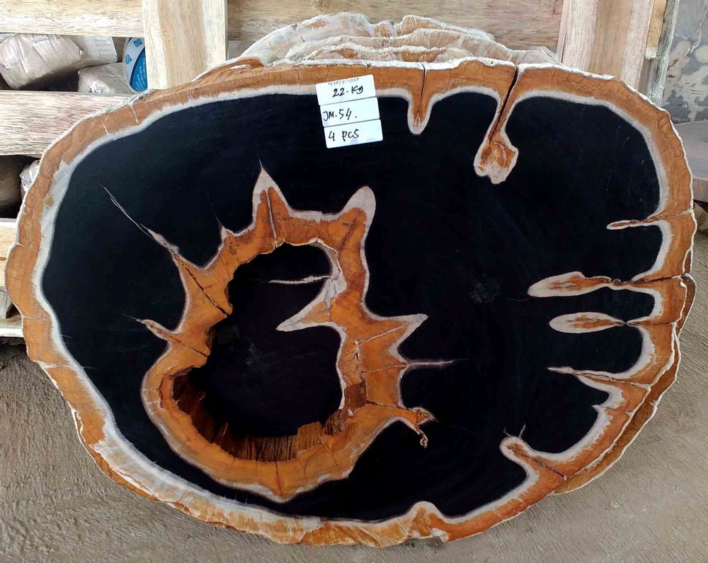Tables for hotels - Petrified wood coffee table - WILD-HERITAGE.COM