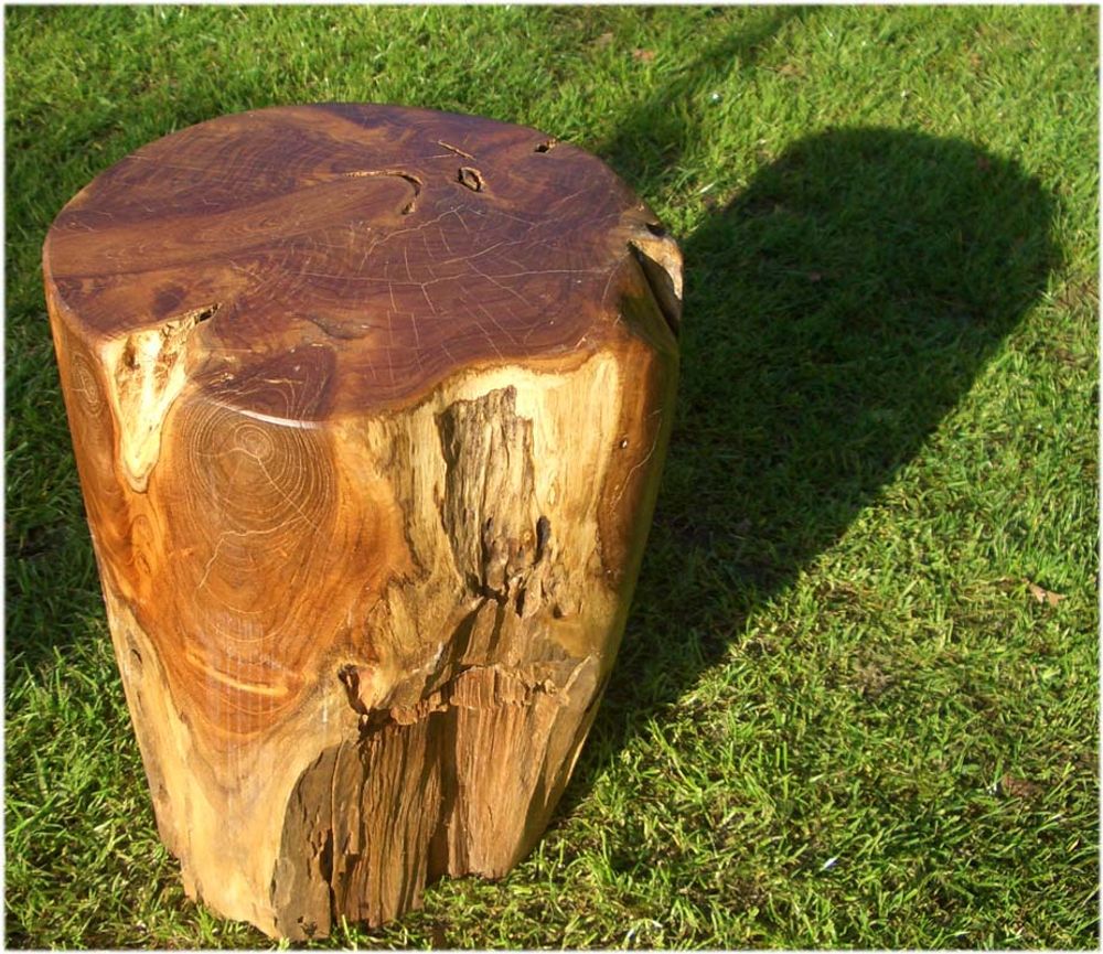 Stools for hospitalities & contracts - Wooden stool, root - WILD-HERITAGE.COM