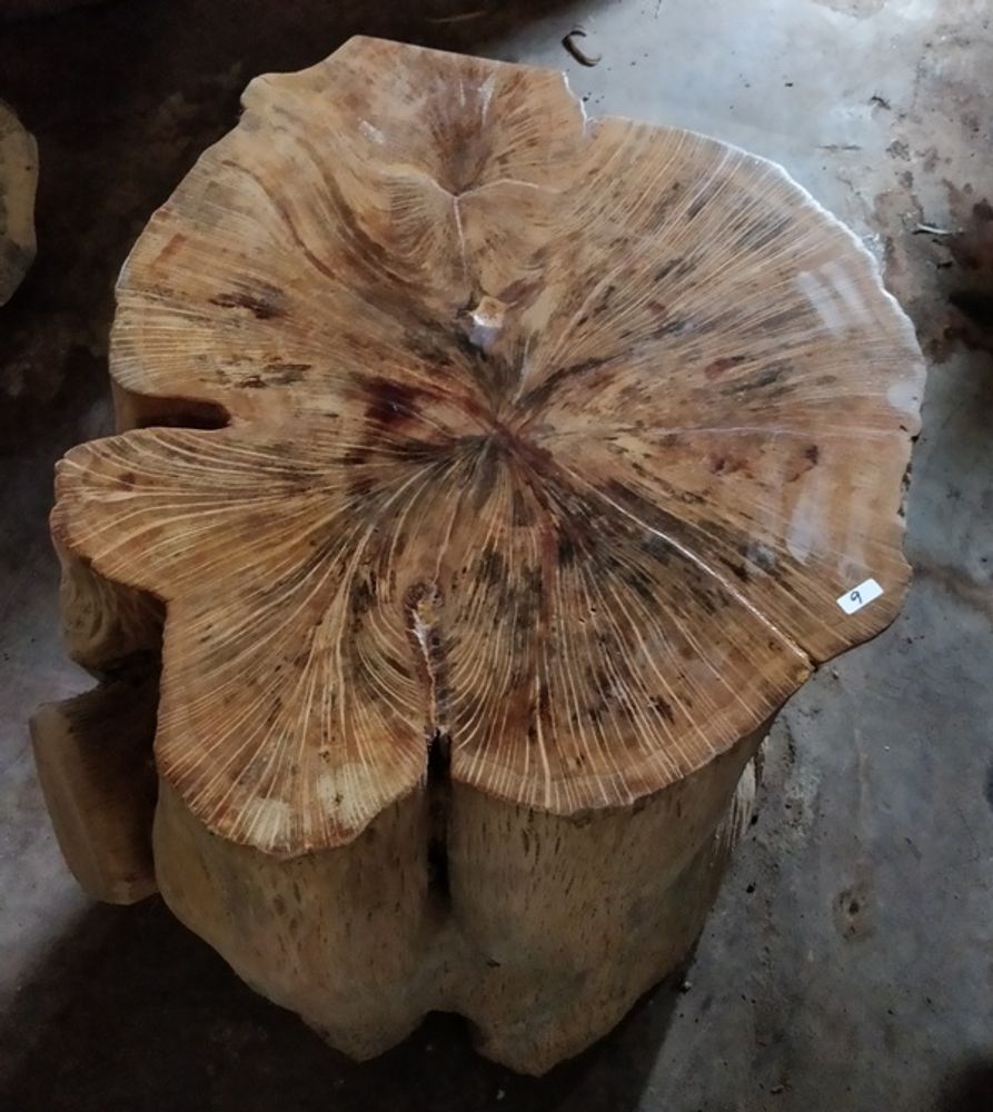 Stools for hospitalities & contracts - Wooden stool, root - WILD-HERITAGE.COM