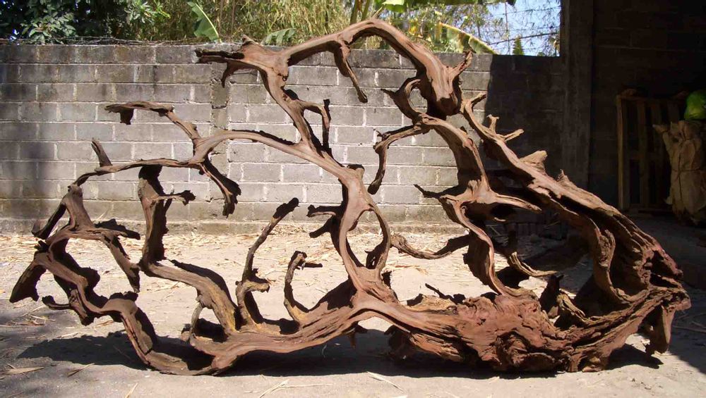 Design objects - Root sculpture - WILD-HERITAGE.COM