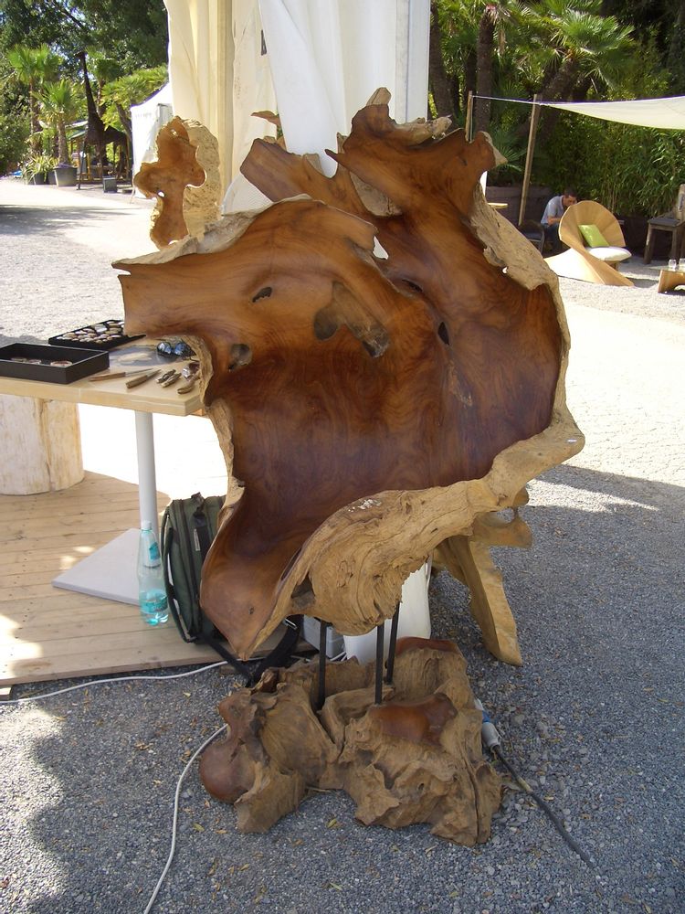 Design objects - Root sculpture - WILD-HERITAGE.COM