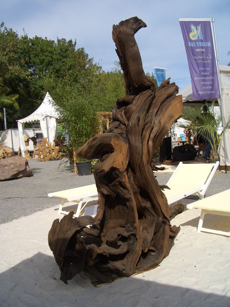 Design objects - Root sculpture - WILD-HERITAGE.COM