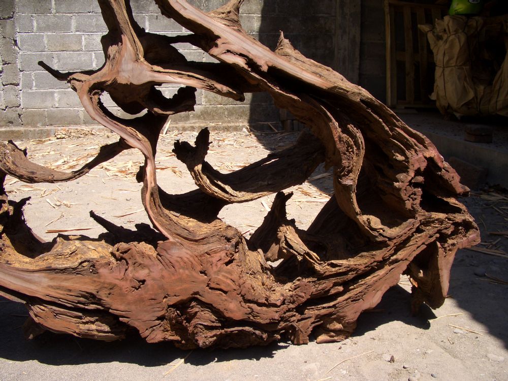 Design objects - Root sculpture - WILD-HERITAGE.COM
