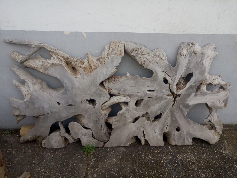 Design objects - Root sculpture - WILD-HERITAGE.COM