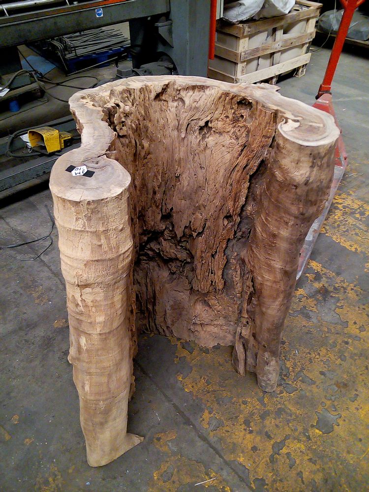 Design objects - Root sculpture - WILD-HERITAGE.COM