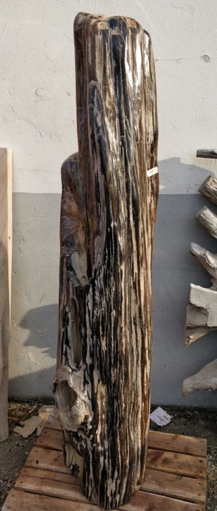 Design objects - Petrified wood sculpture - WILD-HERITAGE.COM