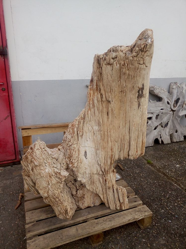 Design objects - Petrified wood sculpture - WILD-HERITAGE.COM