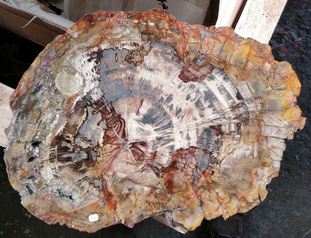 Autres tables - Accessoires décoratifs. - WILD-HERITAGE.COM