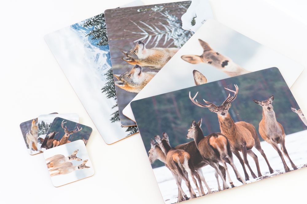 Dessous de plat - Sous-verres & sets de tables - MARS & MORE