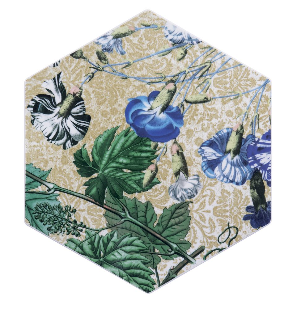 Formal plates - KYMA FLORILEGIUM COLLECTION - SAMBONET