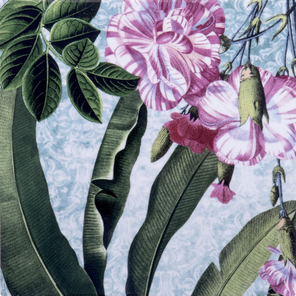 Formal plates - KYMA FLORILEGIUM COLLECTION - SAMBONET